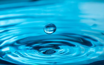 CRO Perspective: A Broader Perspective on Water