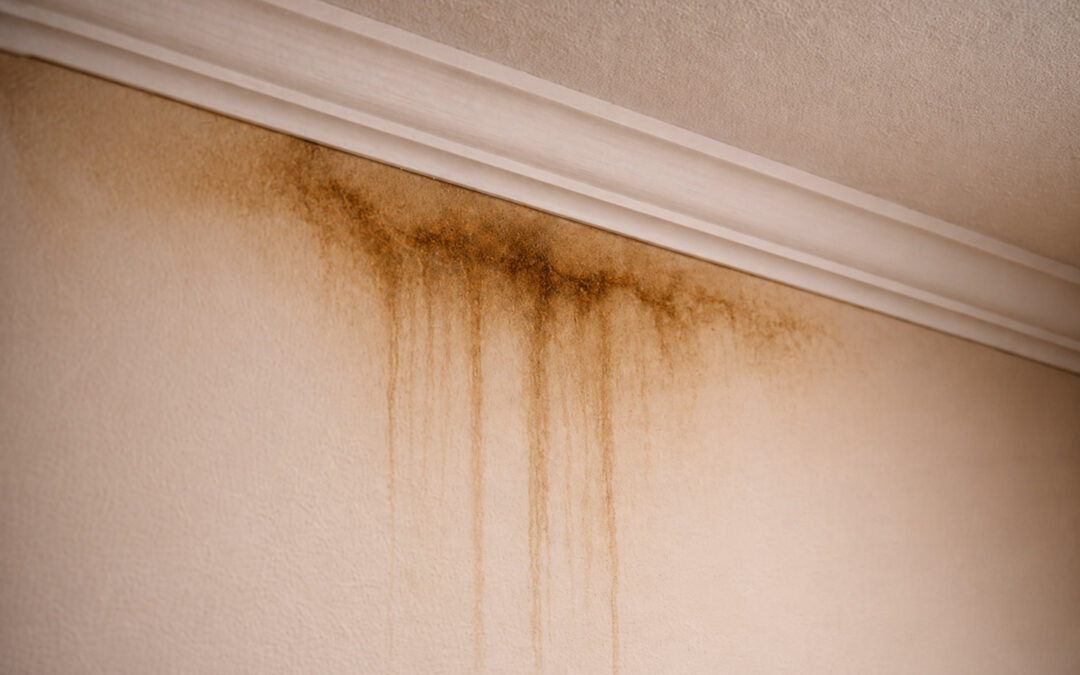 water damage wall